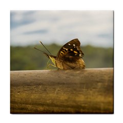 Butterfly Against Blur Background At Iguazu Park Tile Coasters by dflcprints