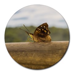 Butterfly Against Blur Background At Iguazu Park Round Mousepads by dflcprints