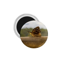 Butterfly Against Blur Background At Iguazu Park 1 75  Magnets by dflcprints