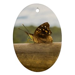 Butterfly Against Blur Background At Iguazu Park Ornament (oval)  by dflcprints