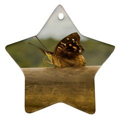 Butterfly Against Blur Background At Iguazu Park Ornament (star)  by dflcprints