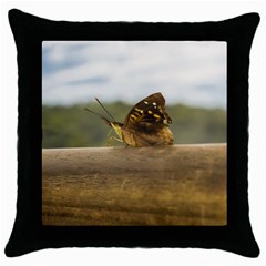 Butterfly Against Blur Background At Iguazu Park Throw Pillow Cases (black) by dflcprints