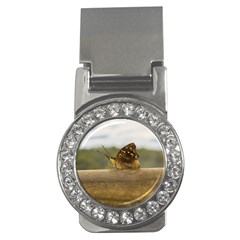 Butterfly Against Blur Background At Iguazu Park Money Clips (cz)  by dflcprints