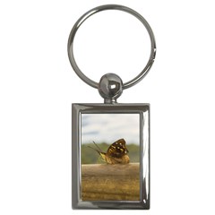 Butterfly Against Blur Background At Iguazu Park Key Chains (rectangle)  by dflcprints