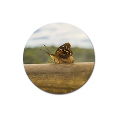 Butterfly Against Blur Background At Iguazu Park Magnet 3  (round)