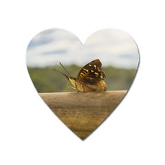 Butterfly Against Blur Background At Iguazu Park Heart Magnet by dflcprints