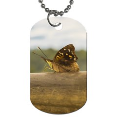 Butterfly Against Blur Background At Iguazu Park Dog Tag (two Sides)