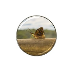 Butterfly Against Blur Background At Iguazu Park Hat Clip Ball Marker by dflcprints