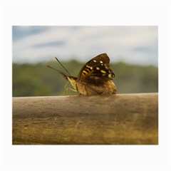 Butterfly Against Blur Background At Iguazu Park Small Glasses Cloth by dflcprints