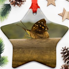 Butterfly Against Blur Background At Iguazu Park Star Ornament (two Sides)  by dflcprints