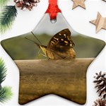 Butterfly against Blur Background at Iguazu Park Star Ornament (Two Sides)  Front