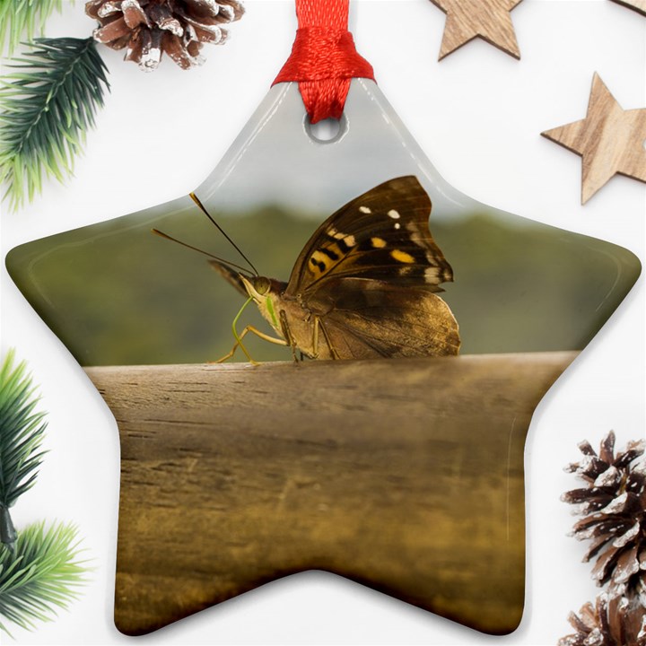 Butterfly against Blur Background at Iguazu Park Star Ornament (Two Sides) 