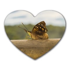 Butterfly Against Blur Background At Iguazu Park Heart Mousepads by dflcprints