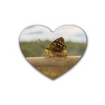 Butterfly against Blur Background at Iguazu Park Rubber Coaster (Heart)  Front