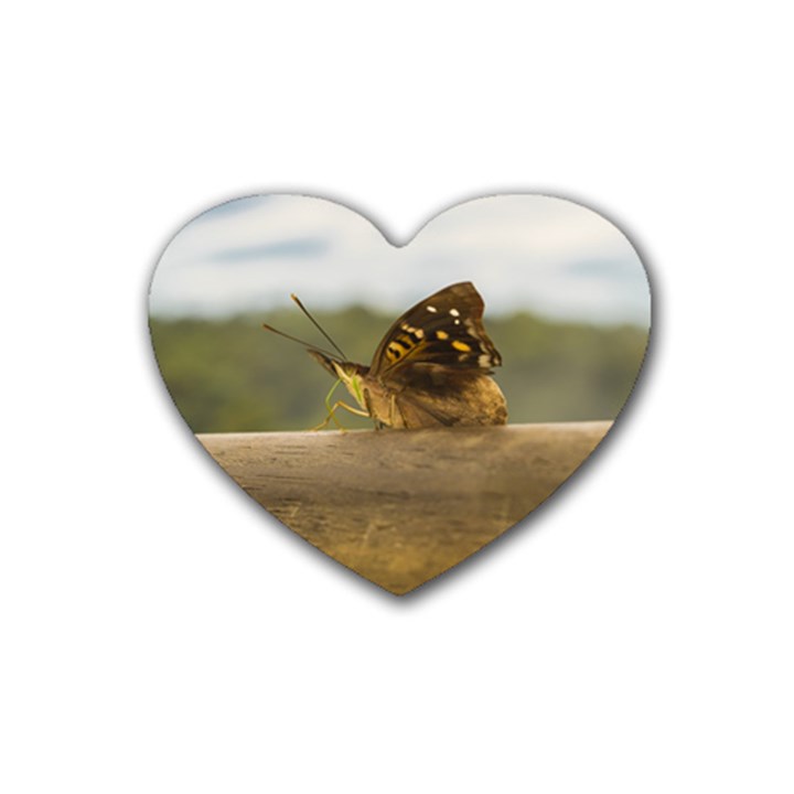 Butterfly against Blur Background at Iguazu Park Rubber Coaster (Heart) 