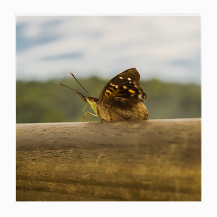 Butterfly against Blur Background at Iguazu Park Medium Glasses Cloth (2-Side)