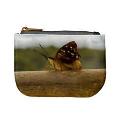 Butterfly Against Blur Background At Iguazu Park Mini Coin Purses by dflcprints