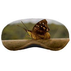 Butterfly Against Blur Background At Iguazu Park Sleeping Masks by dflcprints