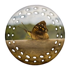 Butterfly Against Blur Background At Iguazu Park Round Filigree Ornament (2side) by dflcprints