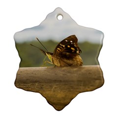 Butterfly Against Blur Background At Iguazu Park Snowflake Ornament (2-side)