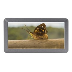 Butterfly Against Blur Background At Iguazu Park Memory Card Reader (mini) by dflcprints