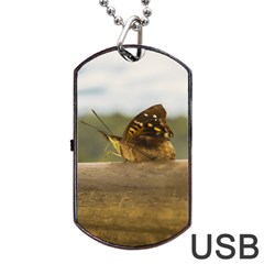 Butterfly Against Blur Background At Iguazu Park Dog Tag Usb Flash (two Sides)  by dflcprints