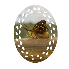 Butterfly Against Blur Background At Iguazu Park Ornament (oval Filigree)  by dflcprints