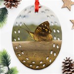 Butterfly against Blur Background at Iguazu Park Oval Filigree Ornament (2-Side)  Front