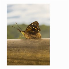 Butterfly Against Blur Background At Iguazu Park Small Garden Flag (two Sides) by dflcprints