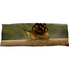 Butterfly Against Blur Background At Iguazu Park Samsung S3350 Hardshell Case