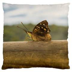 Butterfly Against Blur Background At Iguazu Park Large Cushion Cases (two Sides)  by dflcprints