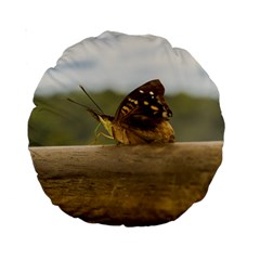 Butterfly Against Blur Background At Iguazu Park Standard 15  Premium Round Cushions by dflcprints