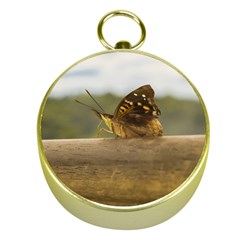 Butterfly Against Blur Background At Iguazu Park Gold Compasses by dflcprints