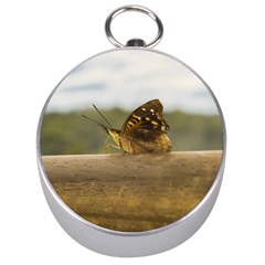 Butterfly Against Blur Background At Iguazu Park Silver Compasses by dflcprints