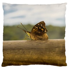 Butterfly Against Blur Background At Iguazu Park Large Flano Cushion Cases (two Sides)  by dflcprints