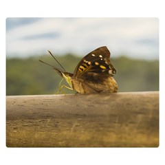 Butterfly Against Blur Background At Iguazu Park Double Sided Flano Blanket (small)  by dflcprints