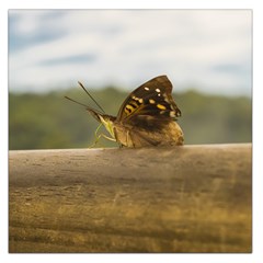 Butterfly Against Blur Background At Iguazu Park Large Satin Scarf (square) by dflcprints