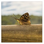 Butterfly against Blur Background at Iguazu Park Large Satin Scarf (Square) Front