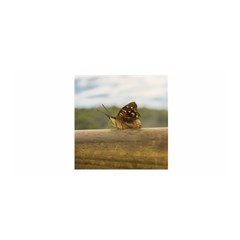 Butterfly Against Blur Background At Iguazu Park Satin Wrap