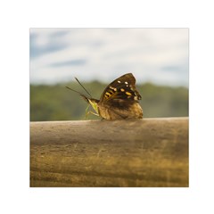 Butterfly Against Blur Background At Iguazu Park Small Satin Scarf (square) 