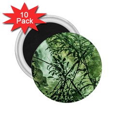 Jungle View At Iguazu National Park 2 25  Magnets (10 Pack)  by dflcprints