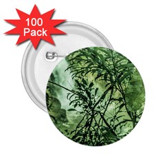 Jungle View At Iguazu National Park 2 25  Buttons (100 Pack) 