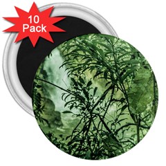 Jungle View At Iguazu National Park 3  Magnets (10 Pack)  by dflcprints