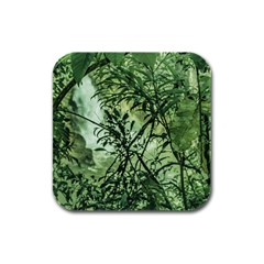 Jungle View At Iguazu National Park Rubber Square Coaster (4 Pack)  by dflcprints