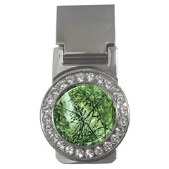 Jungle View At Iguazu National Park Money Clips (cz)  by dflcprints