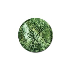 Jungle View At Iguazu National Park Golf Ball Marker (4 Pack) by dflcprints