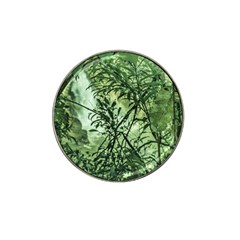 Jungle View At Iguazu National Park Hat Clip Ball Marker by dflcprints