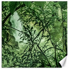 Jungle View At Iguazu National Park Canvas 12  X 12   by dflcprints