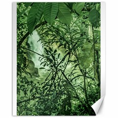 Jungle View At Iguazu National Park Canvas 16  X 20   by dflcprints