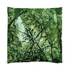 Jungle View At Iguazu National Park Standard Cushion Cases (two Sides) 